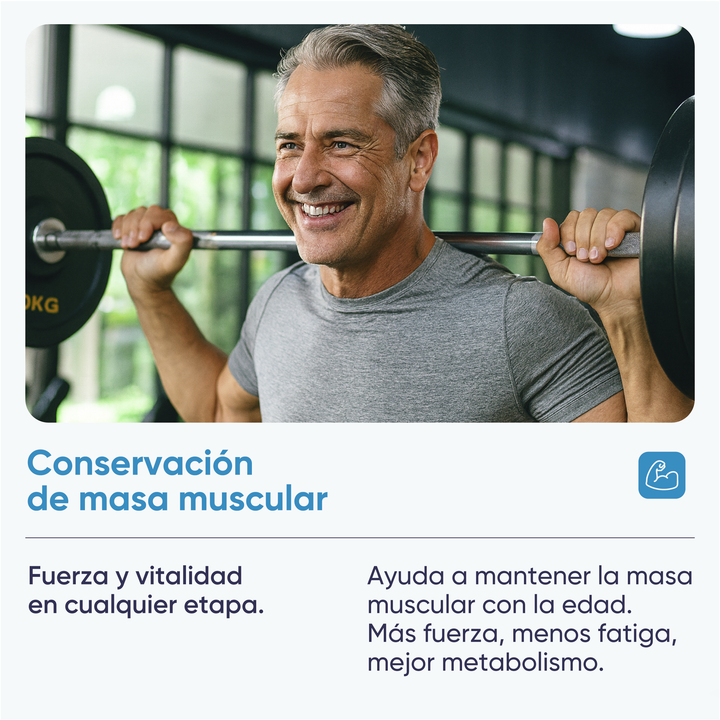 🔥 DESCUENTO DE LA SEMANA – CREATINA MESH 200