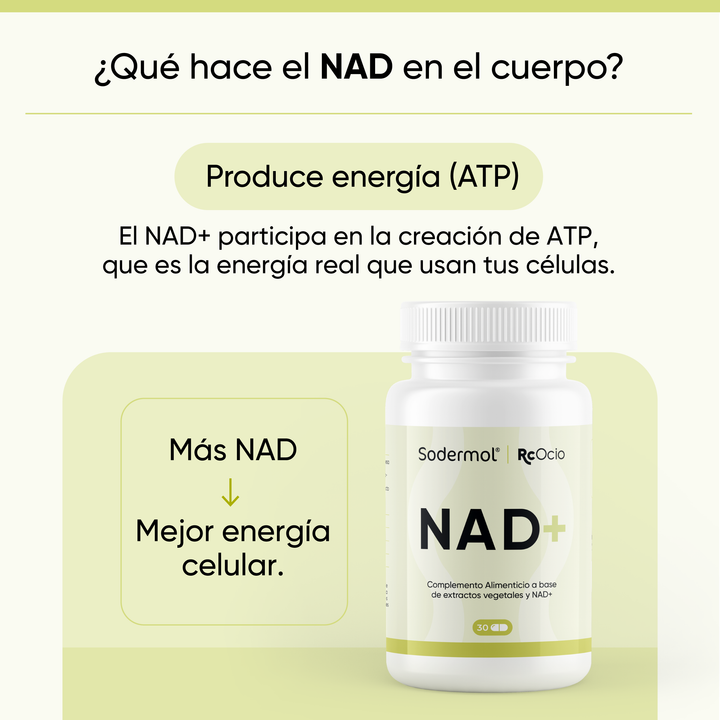 NAD+ RcOcio – Resveratrol - Quercetina - Antienvejecimiento