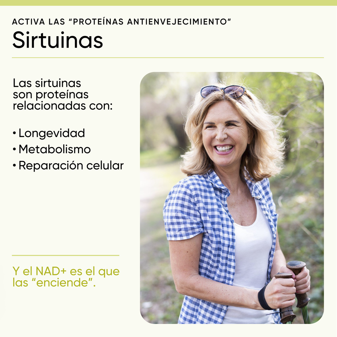 NAD+ RcOcio – Resveratrol - Quercetina - Antienvejecimiento