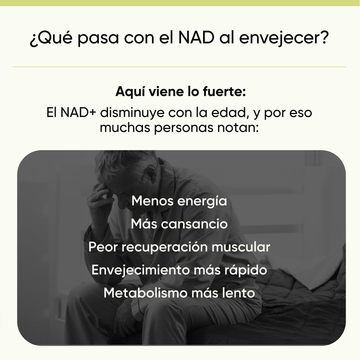 NAD+ RcOcio – Resveratrol - Quercetina - Antienvejecimiento