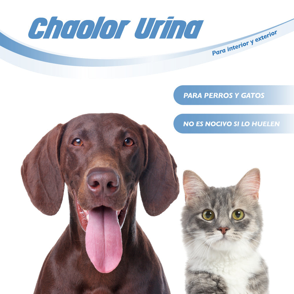 Chao olor® | Neutralizador olor de orina