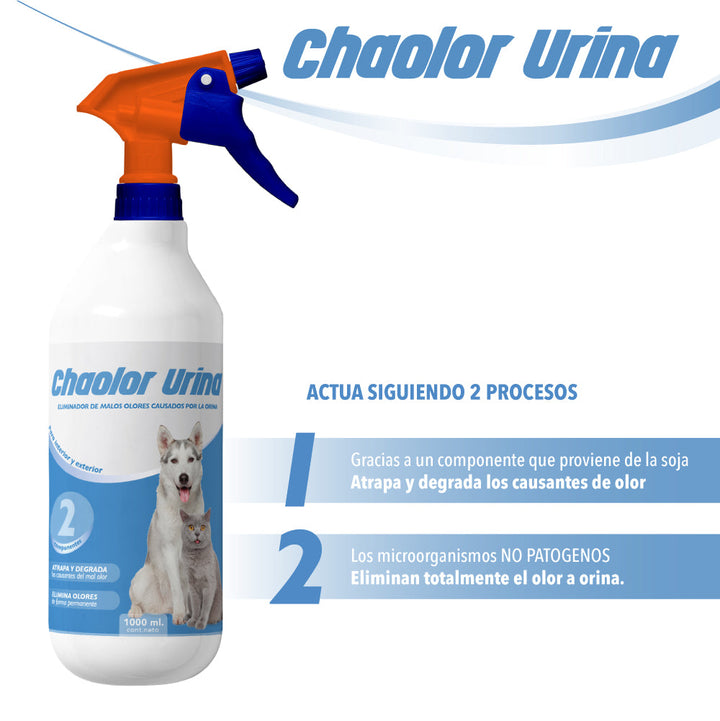 🔥 DESCUENTO DE LA SEMANA – CHAOOLOR URINA