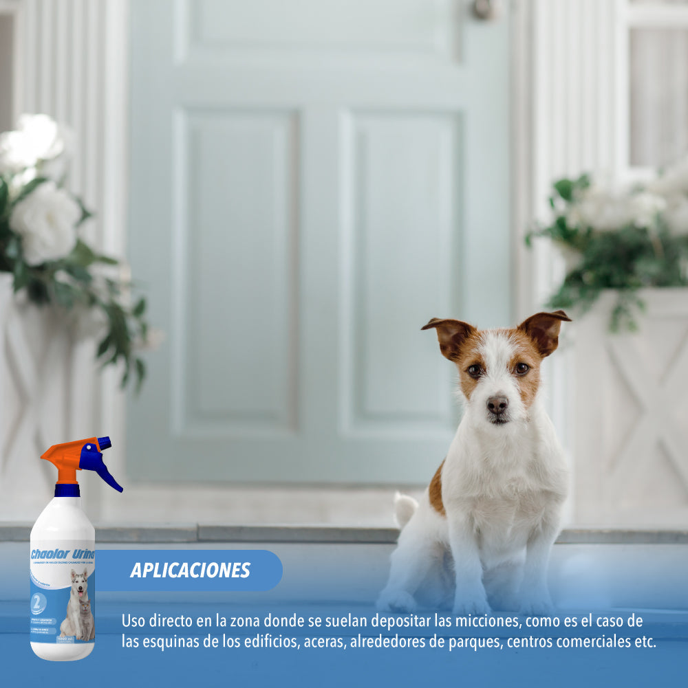 Chao olor® | Neutralizador olor de orina