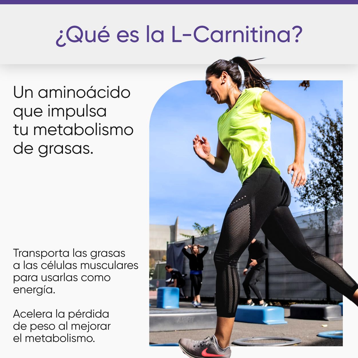 l carnitina baja de peso L-carnitina: beneficios, efectos, peligros Total Lean | CLA más