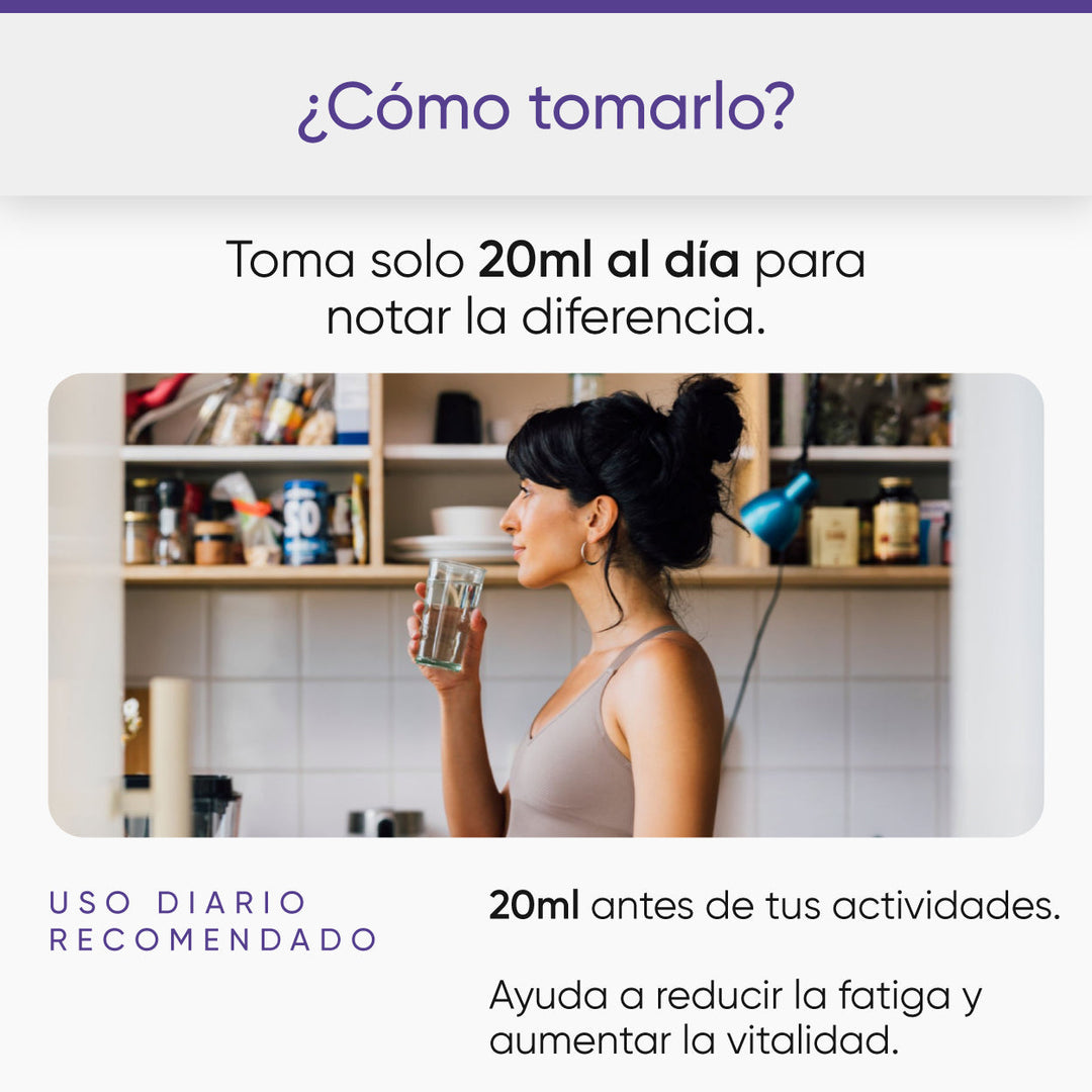 L-carnitina – LaEsquinaEspañola