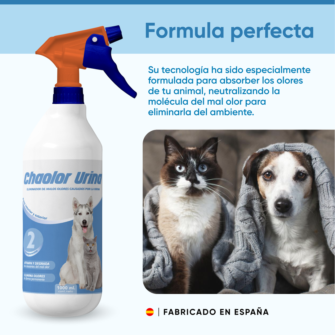 🔥 DESCUENTO DE LA SEMANA – CHAOOLOR URINA