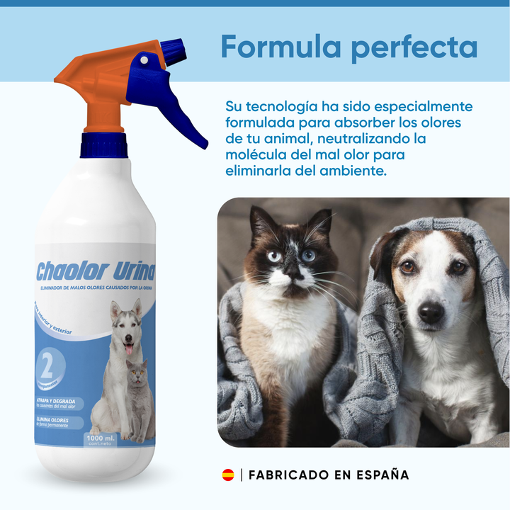 🔥 DESCUENTO DE LA SEMANA – CHAOOLOR URINA